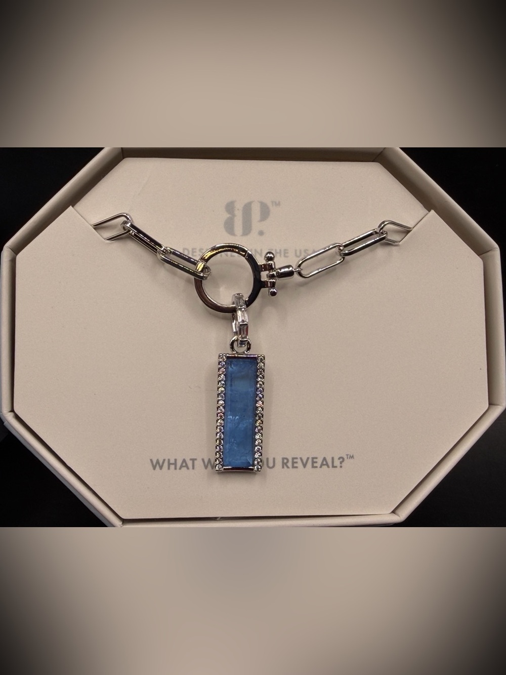 Bomb Party "Divine Circumstance" Removable Pendant Necklace NWT Gift Ready R$132